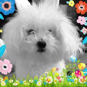 Meet your Posher, Cheri